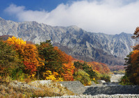 ��̑�̍g�t