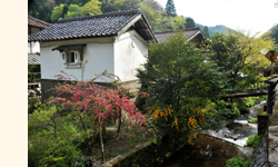 板井原集落