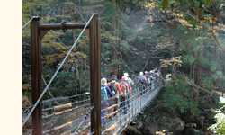 芦津渓谷 つり橋