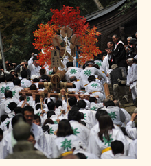 石段を登りきる