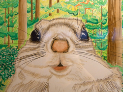 ももんが