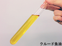 クルード魚油