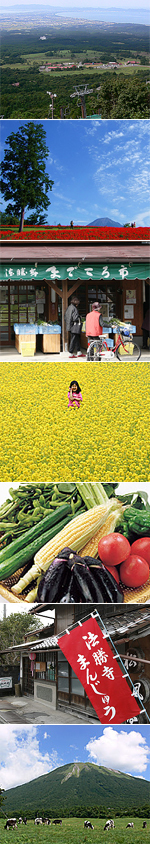 豊富な地域資源